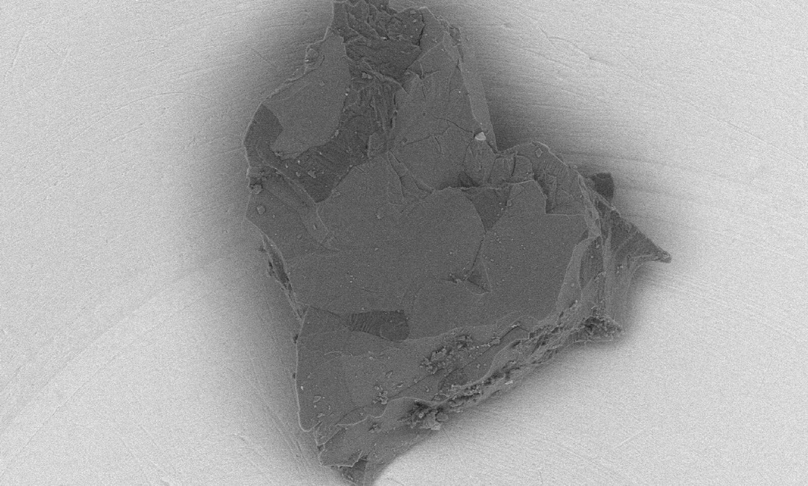 A particle from asteroid Itokawa brought back by the first 