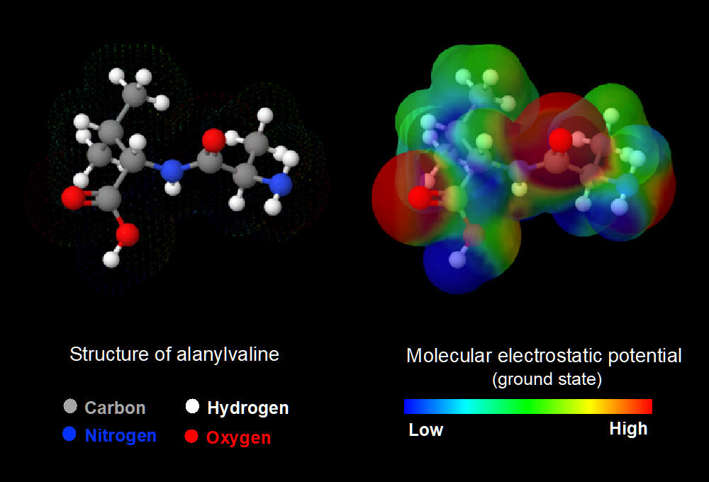 A substance called hexamethylenetetramine (HMT), a precursor of amino acids, was from extraterrestrial samples and published in Oba et al., Nature Communications in 2020 (collaboration with Hokkaido Univ., Kyushu Univ., NASA and Univ. Tokyo). In addition, we are developing a new analytical method for short-chain peptide molecules that has evolved from amino acids.