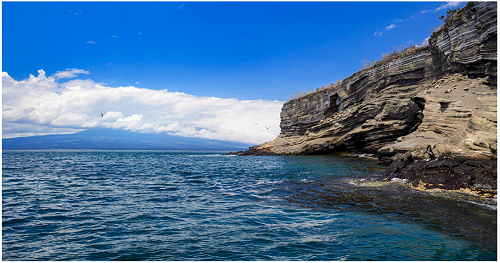 Photo extracted from Professor Fukuoka's book on his voyage to the Galapagos Islands (published by Asahi Press), in which he followed in the footsteps of Darwin to get closer to the essence of life. The photo was taken by ABE Yusuke during the observation activity conducted by the professor and others in a rubber boat along the northwestern coast of Isabela Island.