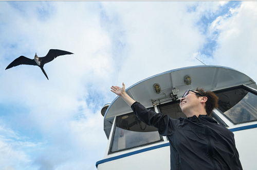 Professor Fukuoka and a frigate bird. Photo (taken by ABE Yusuke) extracted from the professor's book on his voyage to the Galapagos Islands (published by Asahi Press)