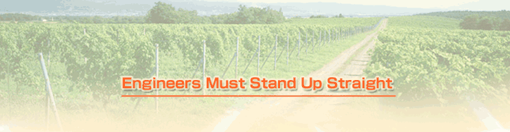 Engineers Must Stand Up Straight