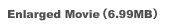 Enlarged Movie