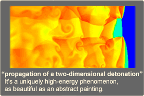 "propagation of a two-dimensional detonation"  It's a uniquely high-energy phenomenon, as beautiful as an abstract painting.