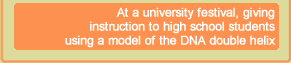 At a university festival, giving instruction to high school students using a model of the DNA double helix
