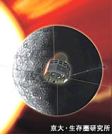 image of MMO
