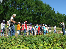 Environmental education at the Creative Conservation Club’s Furano Field (courtesy: C.C.C Furano Field)