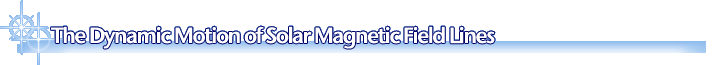 The Dynamic Motion of Solar Magnetic Field Lines