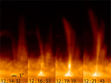 Microjet in the chromosphere