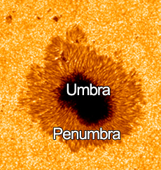 Sunspot