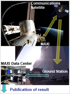 MAXI’s flash report system