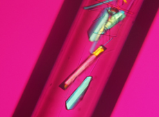 Space-grown protein crystals are cleanly and discretely crystallized 