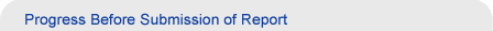 Progress Before Submission of Report