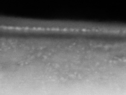 White spots in this photo are nanoparticles that contain abundant iron and were created through space weathering. (Courtesy of Ibaraki University and JAXA)