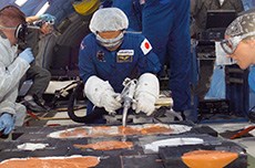 Wakata participating in the development testing of repair of the Shuttle’s heat-resistant tiles, in order to resume flights following the Columbia disaster (courtesy: NASA)