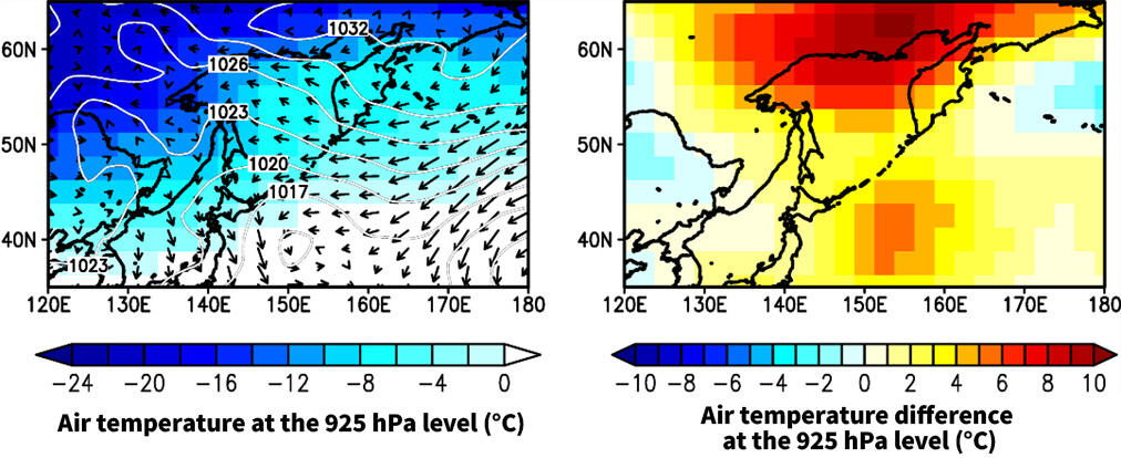 Figure 5: (Left) Spatial distributions of air temperature at the 925 hPa level (shading, °C), wind vectors at a height of 10 m (m s⁻¹, black vectors), and sea level pressure (hPa, white contours), averaged over the period from 19 February 2026 (the day when sea ice extent in the Sea of Okhotsk reached its annual maximum) to 13 March 2026.(Right) Air temperature difference at the 925 hPa level between 2025 and 2026, averaged over the period from 19 February to 13 March. Warm (cool) colors indicate areas where air temperature is higher (lower) in 2026 compared with 2025.
