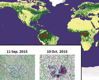 JICA and JAXA Announce Forest Monitoring System Using ALOS-2 Satellite