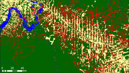 Forest area change detection by“ DAICHI” series